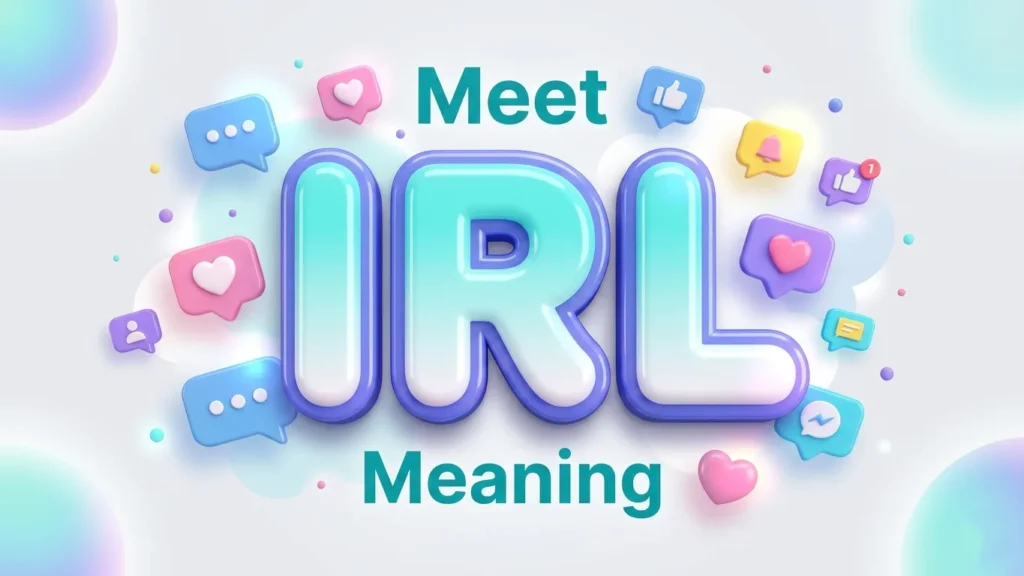 meet irl meaning