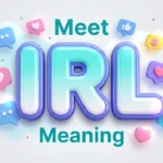 meet irl meaning