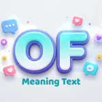 of meaning text
